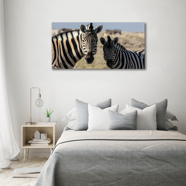 Foto op plexiglas Twee zebra's