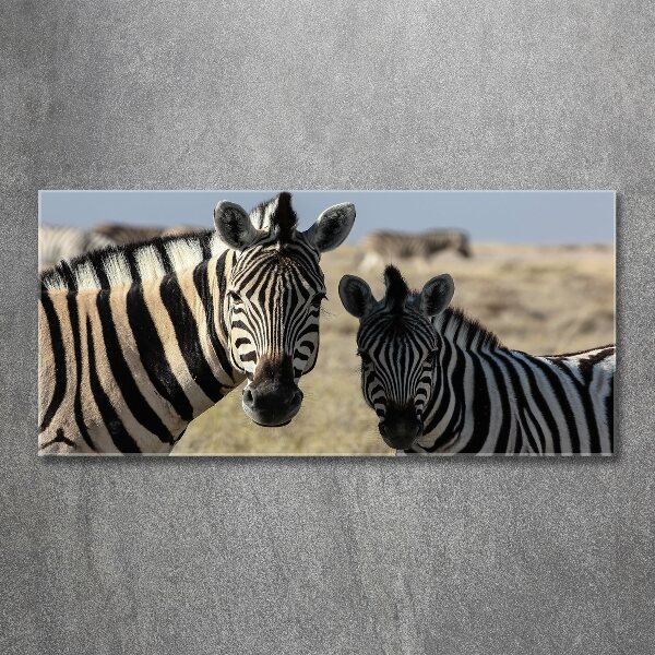 Foto op plexiglas Twee zebra's