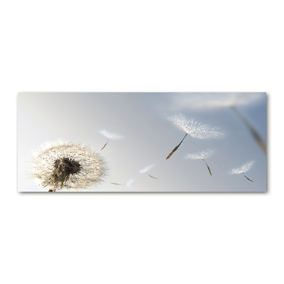 Plexiglas foto Paardebloem