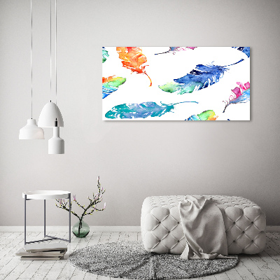 Schilderij op acrylglas Kleurrijke veren