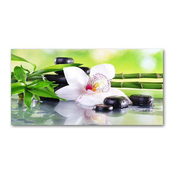 Foto plexiglas Orchidee