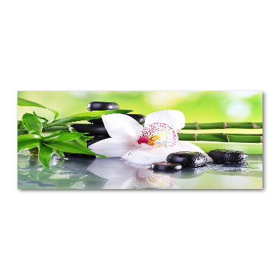 Foto plexiglas Orchidee