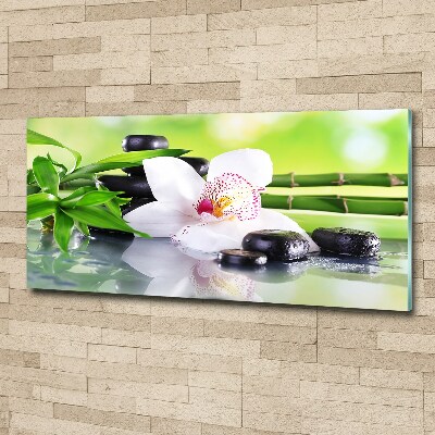 Foto plexiglas Orchidee