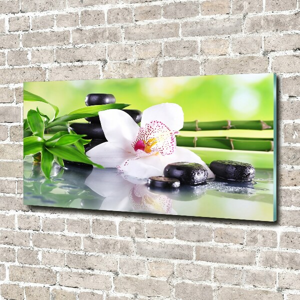 Foto plexiglas Orchidee