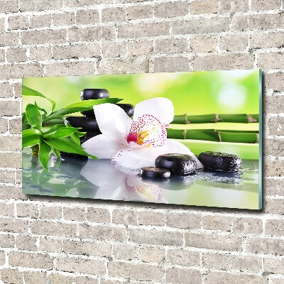 Foto plexiglas Orchidee