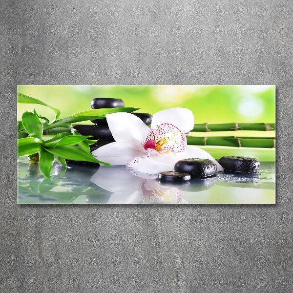 Foto plexiglas Orchidee