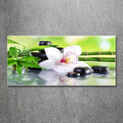 Foto plexiglas Orchidee