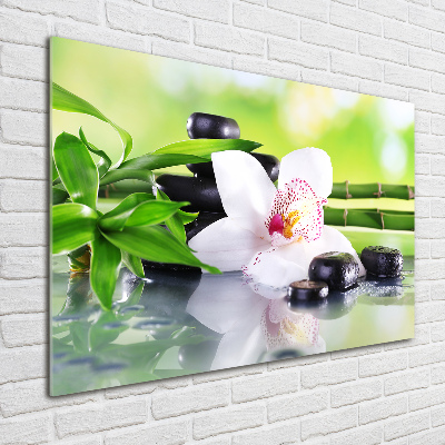 Foto plexiglas Orchidee