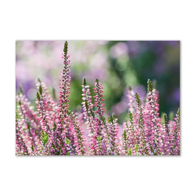 Schilderij op acrylglas Heidebloemen