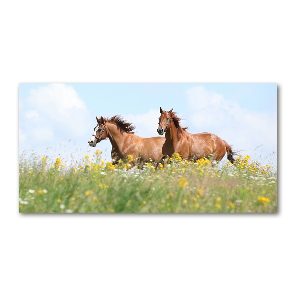 Plexiglas foto Twee paarden in galop