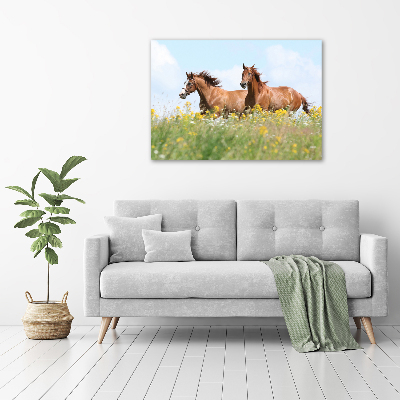 Plexiglas foto Twee paarden in galop