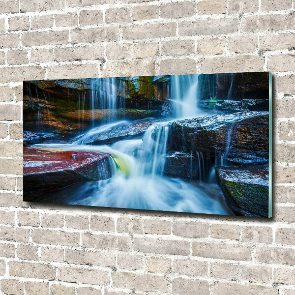 Schilderij op acrylglas Tropische waterval