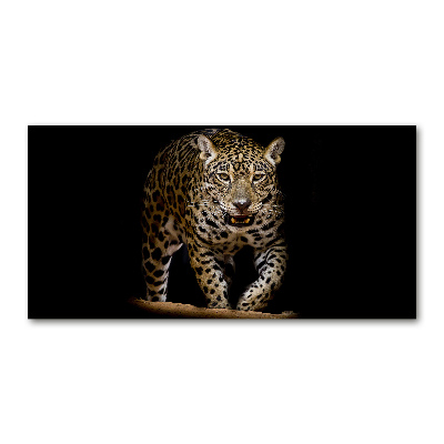 Foto plexiglas Jaguar