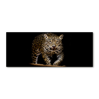 Foto plexiglas Jaguar