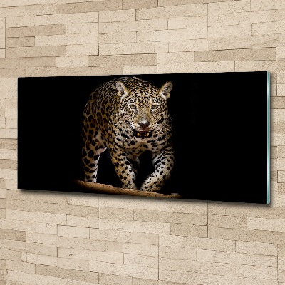 Foto plexiglas Jaguar