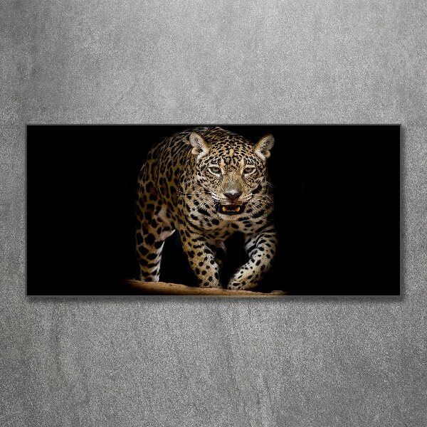 Foto plexiglas Jaguar