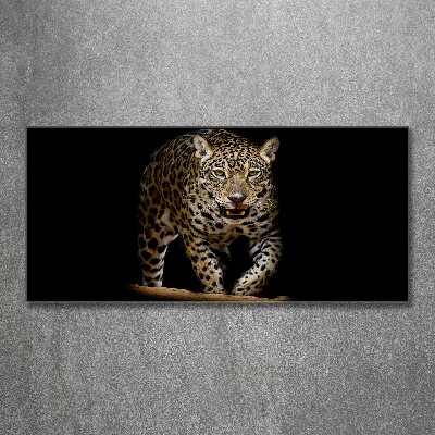 Foto plexiglas Jaguar