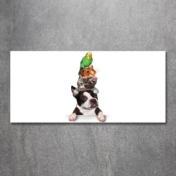 Foto in plexiglas Een groep dieren