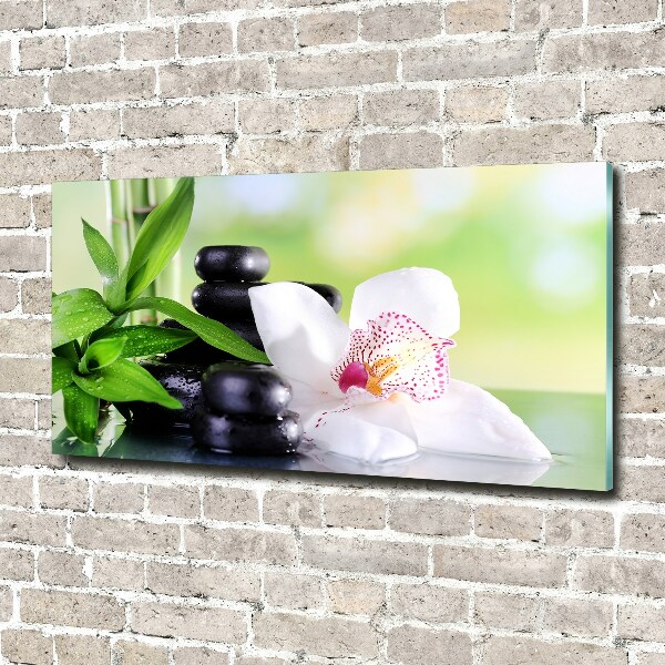 Foto plexiglas Orchidee