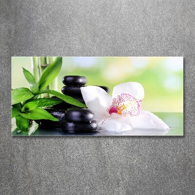 Foto plexiglas Orchidee