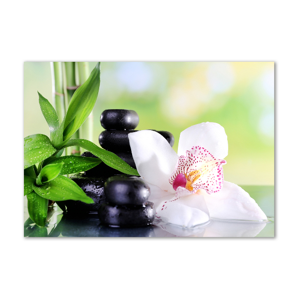 Foto plexiglas Orchidee
