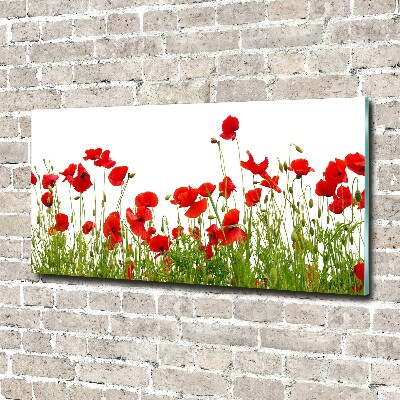 Foto in plexiglas Klaprozen