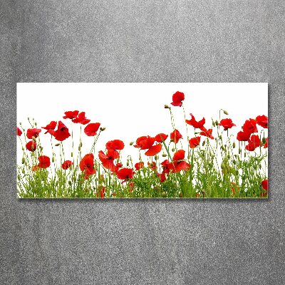 Foto in plexiglas Klaprozen