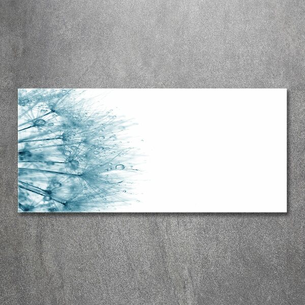 Plexiglas schilderij Paardebloem