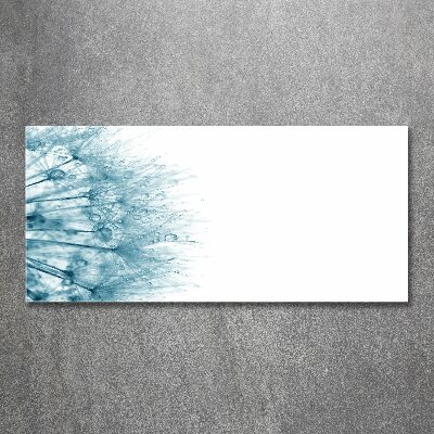 Plexiglas schilderij Paardebloem