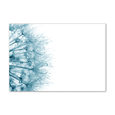 Plexiglas schilderij Paardebloem