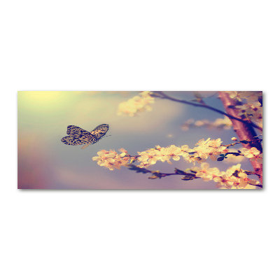 Foto op plexiglas Kersenbloesem en vlinder