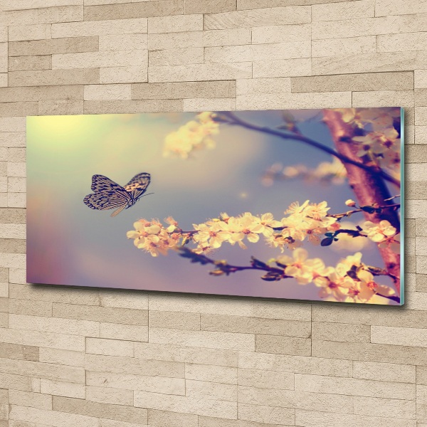 Foto op plexiglas Kersenbloesem en vlinder