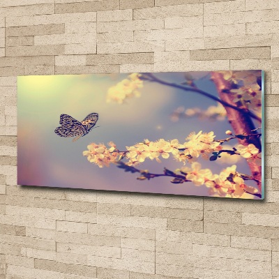 Foto op plexiglas Kersenbloesem en vlinder