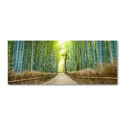 Plexiglas schilderij Bamboebos