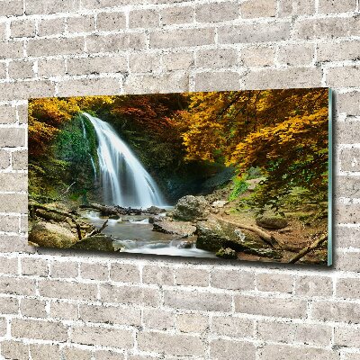 Foto op plexiglas Waterval in het bos