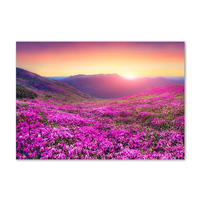 Plexiglas foto Roze heuvels