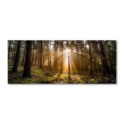 Foto plexiglas Zonlicht