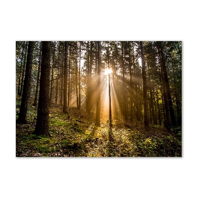 Foto plexiglas Zonlicht