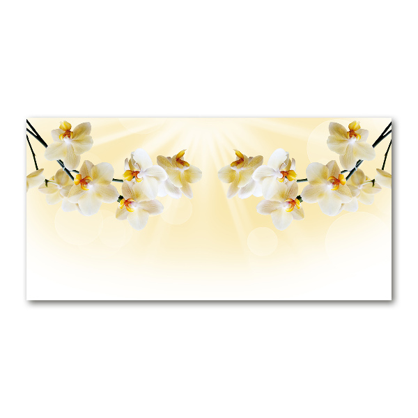 Foto in plexiglas Orchidee