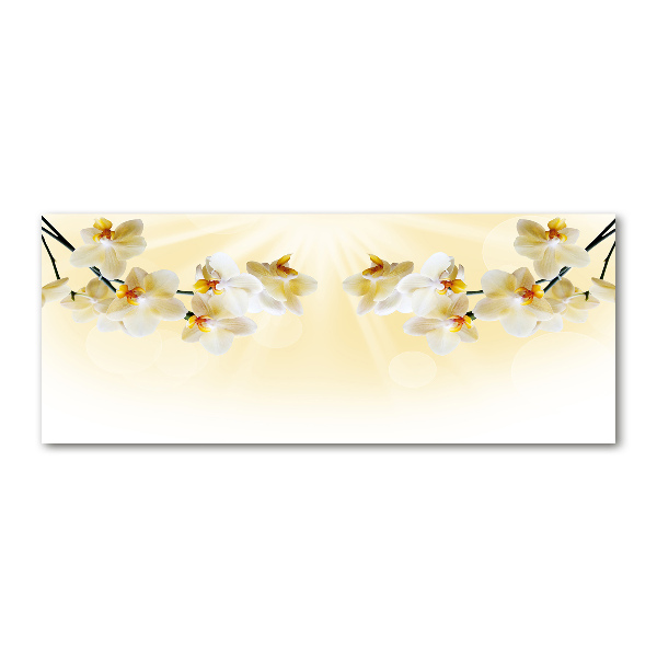 Foto in plexiglas Orchidee