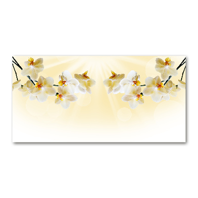 Foto in plexiglas Orchidee