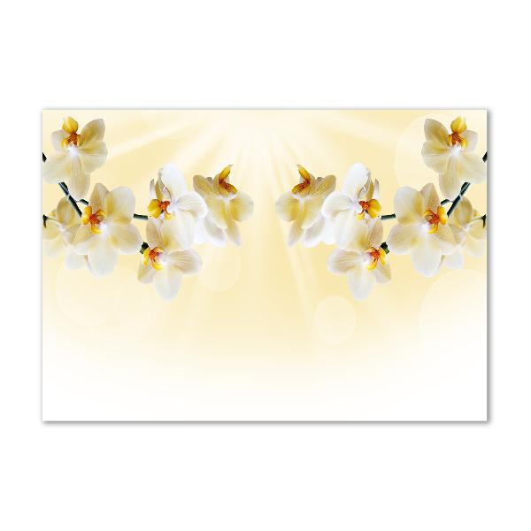 Foto in plexiglas Orchidee