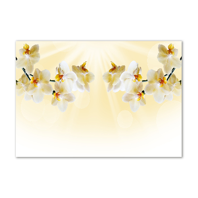 Foto in plexiglas Orchidee