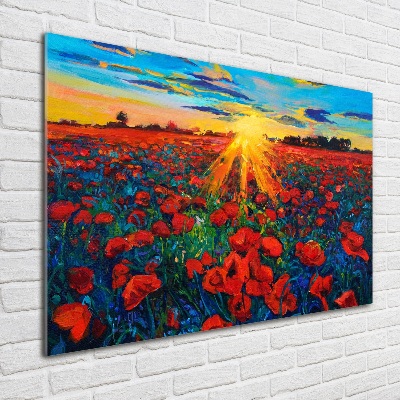 Schilderij op acrylglas Klaprozenveld