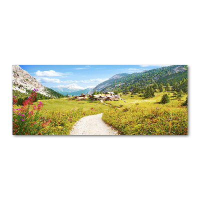 Plexiglas schilderij Weide in de Alpen