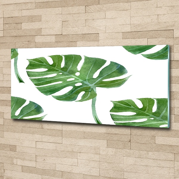 Foto in plexiglas Monstera
