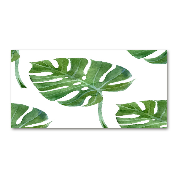 Foto in plexiglas Monstera