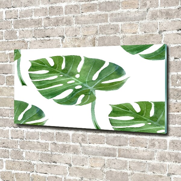 Foto in plexiglas Monstera