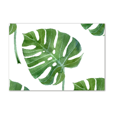 Foto in plexiglas Monstera