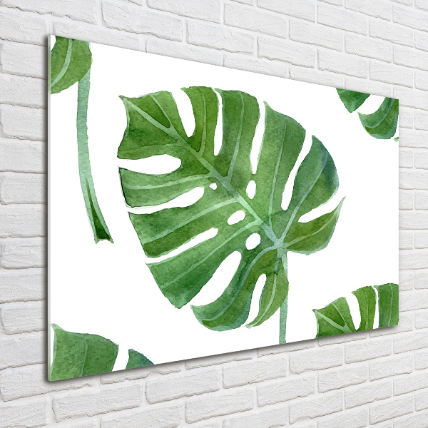 Foto in plexiglas Monstera